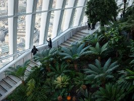 urban life, two person on skyscraper with garden, view of a big city 