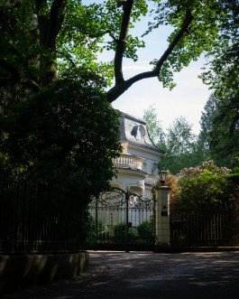 photography of white villa from the street with tall trees 