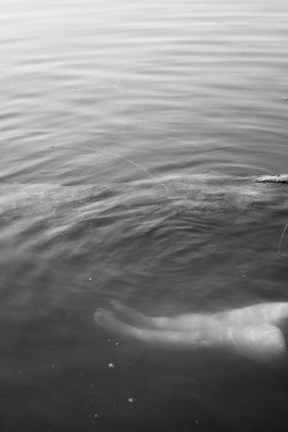 fine art photography water wasser rhine rhein woman swimming in river 