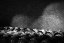 architekturfotografie Weingut Weinkeller interiors winery barrels 