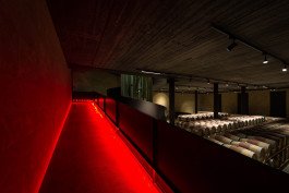 architekturfotografie Weingut Weinkeller interiors winery red light 