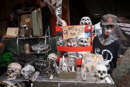 reportage music festival wacken open air musik 